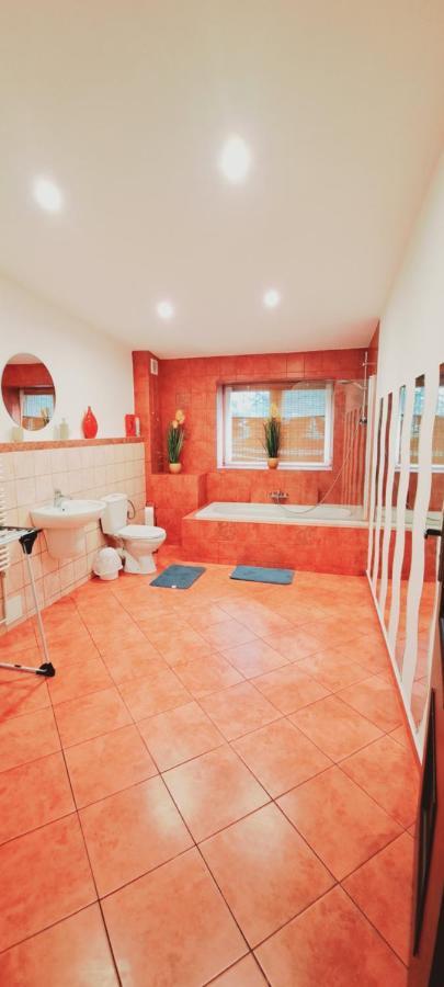 Apartament Alcatraz Z Kominkiem Kamienna Gora Εξωτερικό φωτογραφία
